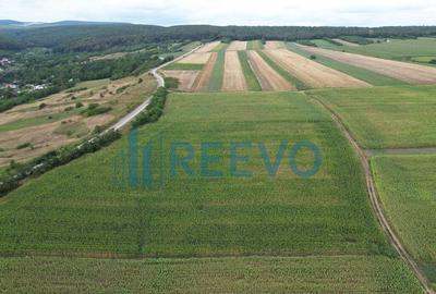 Teren de 3.600 mp Racova - 9