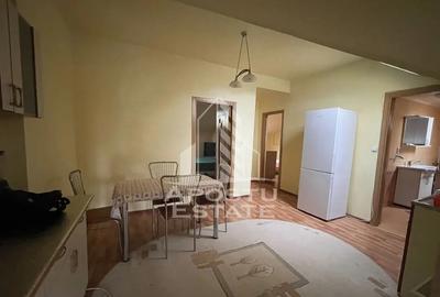 Casă cu 3 camere cu Teren 987 Mp în Iosefin - 13