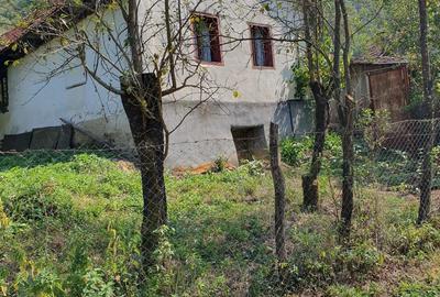 Casă cu 3 camere în Lugoj - 2