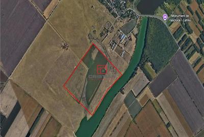 Teren de 250000 mp, în Lehliu - 1