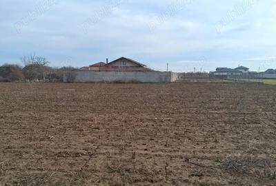 Teren de 631 mp, în Crevedia - 6