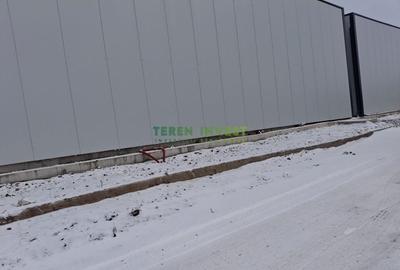 Hala depozitare -  Cernica  Theodor Pallady - 7