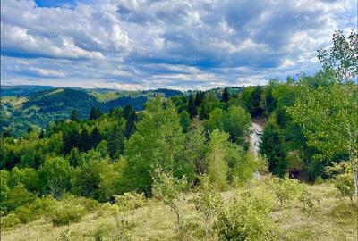 Teren de 8461 mp, în Mărișel - 2