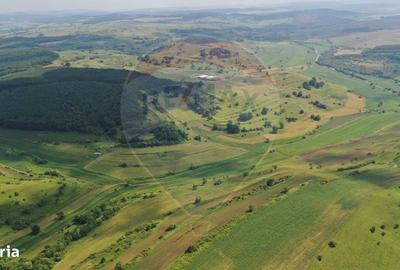 Spațiu comercial, în Zlagna - 4