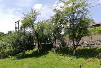 Casa si teren la Provita de Jos - 8