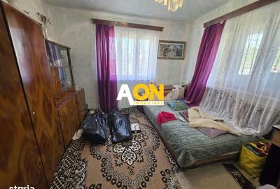 Casă cu 2 camere în Sânmiclăuș - 4