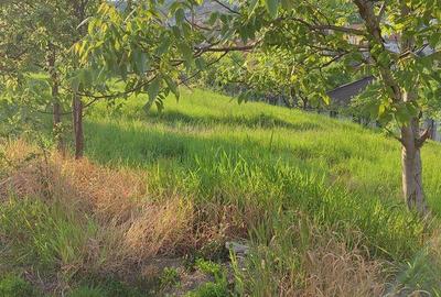 Teren Spitalul Judetean - 1