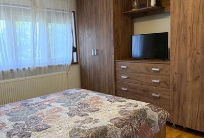 Apartament cu 3 camere decomandat în Aradul Nou - 5