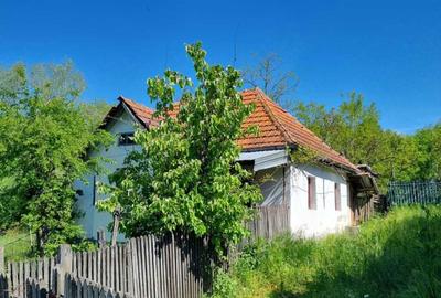 Casă cu 2 camere în Predeal - 1
