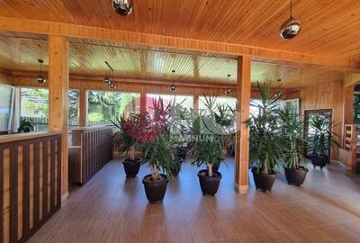 Pensiune 20 camere castelul Bran - 5