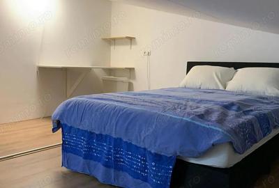 Garsoniera de inchiriat in zona Est Zizin - 1