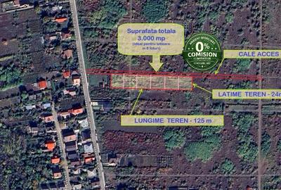 Teren agricol extravilan de 3000 mp, în Filaturii - 2