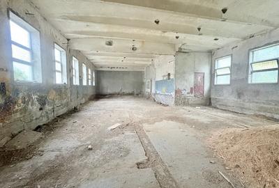 Teren Construcții intravilan de 1875 mp, în Valu lui Traian - 7