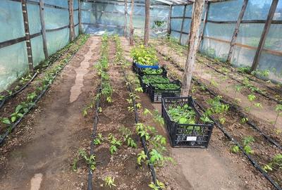 Casă cu 6 camere cu Teren 1668 Mp în Stăncuța - 1