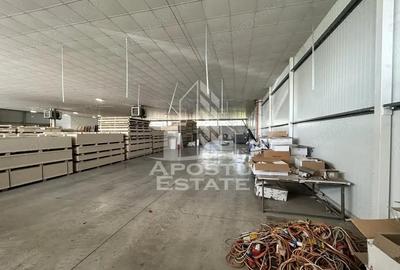 Spațiu comercial, de 1,400 mp, în Lugojului