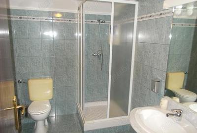 Vila, Timisoara, D+P+E+pod, zona Lipovei, 7 cam, 480mp teren - 17