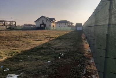 Spațiu comercial, în Mogoșoaia - 12