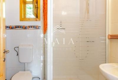 Casa 3 camere, 840 mp teren care include padure, Paltinis - 8