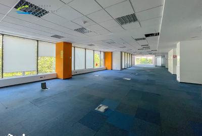 Spațiu comercial, de 1,250 mp, în Basarab