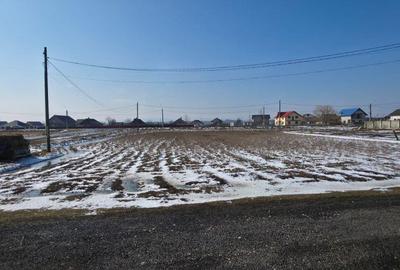 Teren de 11400 mp, în Central