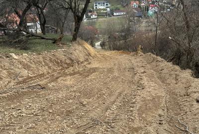 Spațiu comercial, în Bran - 3