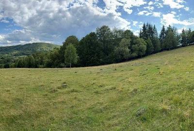 Teren de 21846 mp, în Exterior Vest - 1