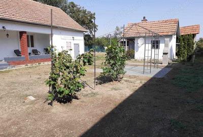 Vand casa taraneasca la 26 de km de Oradea - 5