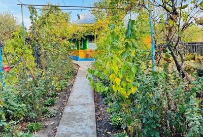 Casă cu 6 camere cu Teren 1100 Mp în Grindu - 3