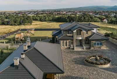 Casă cu 8 camere cu Teren 11880 Mp în Horodnic - 7