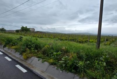 Casa si teren intravilan 4200 mp  Cotesti - 16