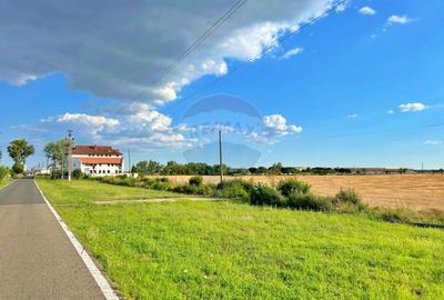 De vânzare pensiunea „Casa Albă”, orașul Pecica, jud. Arad - 20