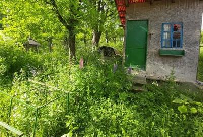 Casă cu 2 camere în Berislăvești - 5