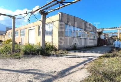 Hală de vânzare – Parcul Industrial Tohanul Vechi, Zărnești - 2