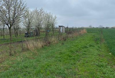 Spațiu comercial, în Lazuri - 3