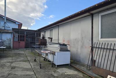 Spațiu industrial, de 287 mp, în Buciumi - 20