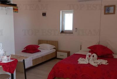 VILA TURISTICA SUPERBA COSTINESTI - 12