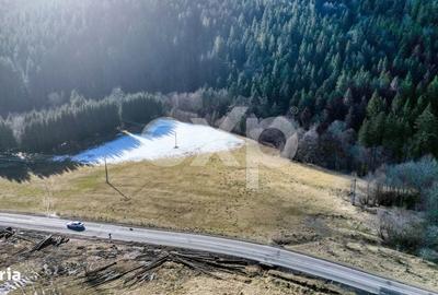 Teren de 19200 mp, în Brădet - 7