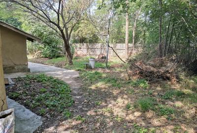 Vanzare casa batraneasca+teren - 6