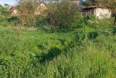 Spațiu comercial, în Cernești - 3