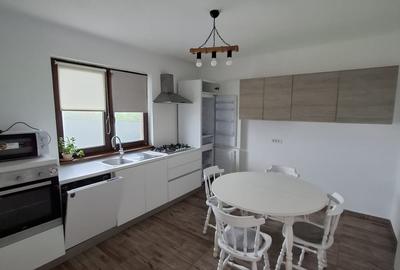 Sanandrei – Duplex  2  Camere – Pod  Mansardabil - 7