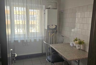 Apartament cu 2 camere decomandat în Lăpuș - 11