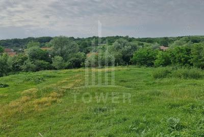 De vanzare Teren versatil 3.919 mp in localitatea Armeni. Sibiu - 2