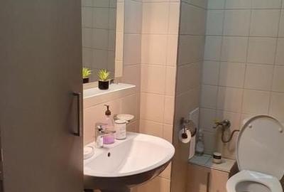 Apartament cu 3 camere decomandat, mobilat în 1 Decembrie 1918 - 11