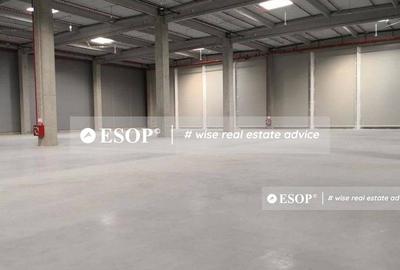 Spațiu industrial, de 5,000 mp, în Chitila - 3