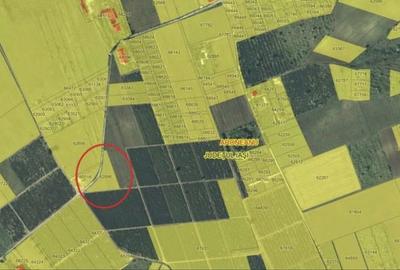 Teren de 3755 mp, în Șorogari - 2