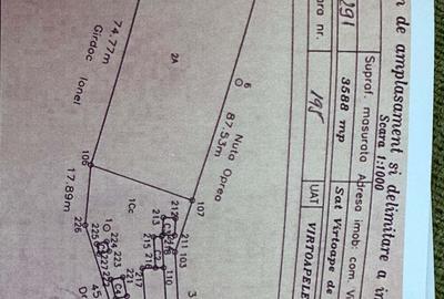 Vand Casa de caramida 7 camere Jud Teleorman - 3