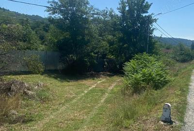 Casă cu 4 camere în Hinova - 3