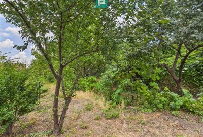 Teren 1.484 mp în zona Iosefin - 2