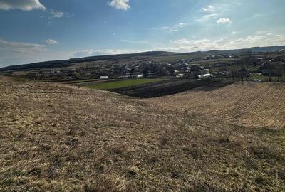 Teren de 9000 mp, în Baciu - 6
