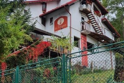 OCAZIE UNICĂ: Casă & grădină /cel mai bun loc din Sinaia! Rezidență sau Business OCAZIE UNICĂ: Casă & grădină /cel mai bun loc din Sinaia! Rezidență sau Business - 14